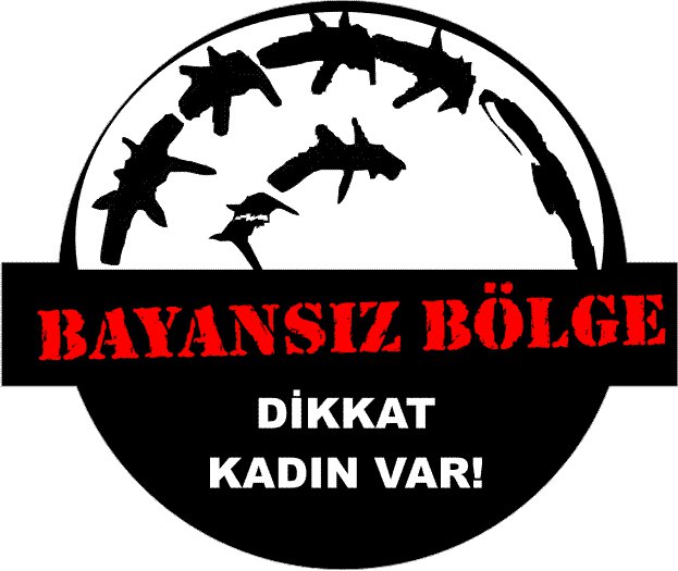 Saha Çimen-Bayansız bölge 11032024.jpg